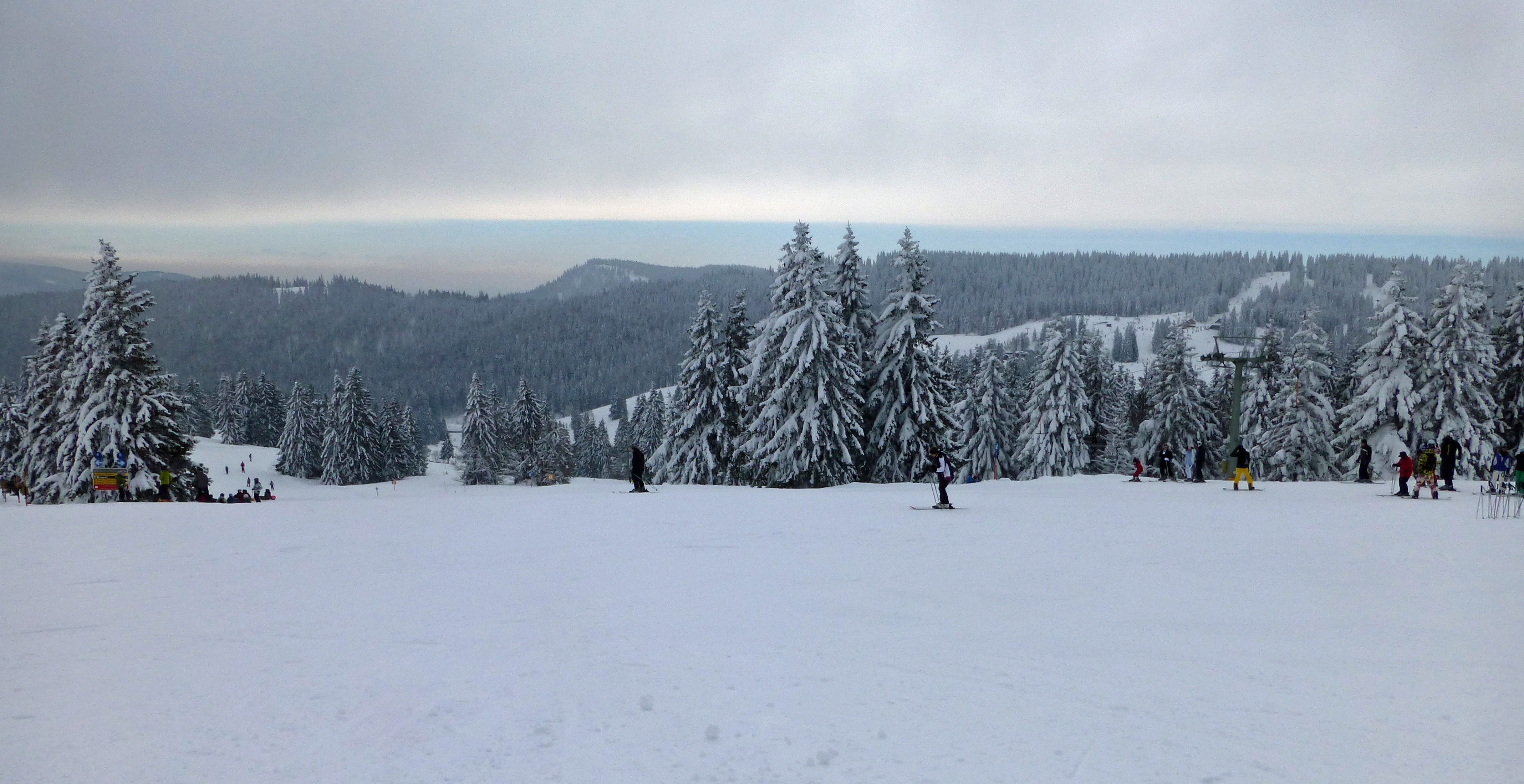 Besneeuwde bomen en winterlandschap op de Feldberg in het Schwarzwald