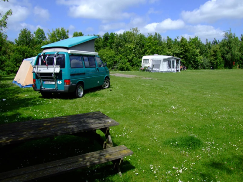 Camper en caravan op een groen kampeerveld bij Workum.